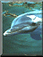 Benutzeravatar