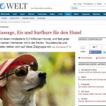 Die Welt Reiki Massage Hund