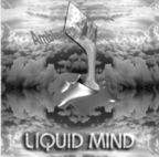 Liquid Mind: Ambience Minimus